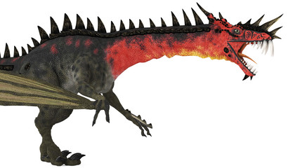 Fototapeta premium red dragon attack side view