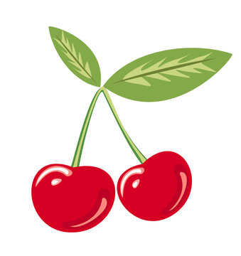 cherry isolated vector illustration