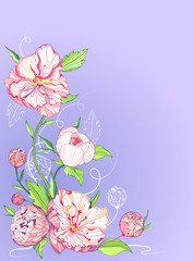 Vector greeting card with peony
