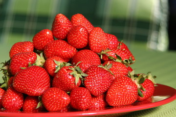 Erdbeeren