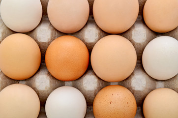 uova diverse colorate