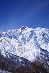 Fototapeta na wymiar Mt. Goryudake, Nagano Japan