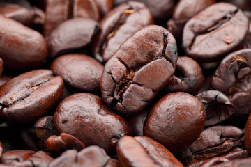roasted coffee beans