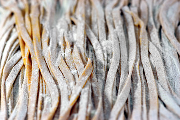 Fresh raw pasta