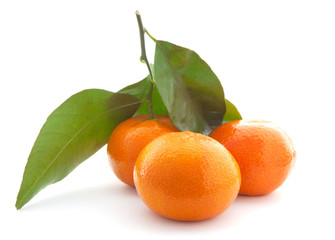 Mandarin with green leaf.