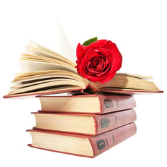 Red rose on open book.