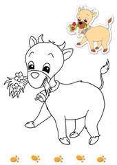 animali da colorare, capra