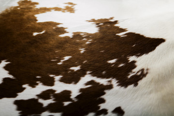 real cow skin texture