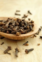 kitchen spice cloves in a wooden spoon on the board