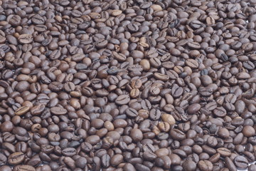 frisch geröstete Kaffebohnen