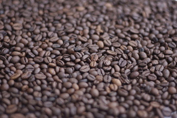 frische Kaffebohnen