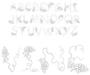 Vector black contour vine alphabet on a white background