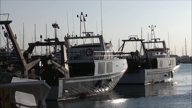 PESQUEROS AMARRADOS EN EL PUERTO