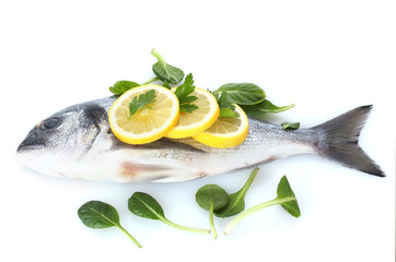 Fresh fish with lemon and parsley isolated on white.