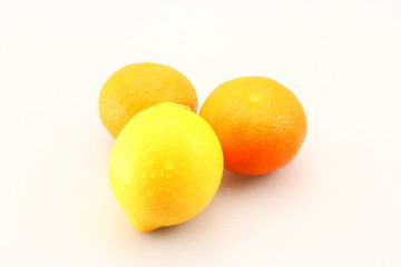 Lemon and Tangerine