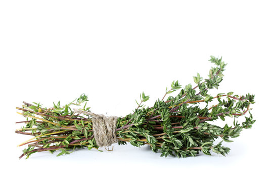 Fresh Green Thyme Isolated On White