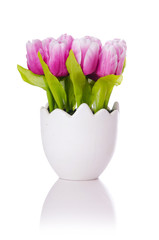Tulips flowers isolated on the white