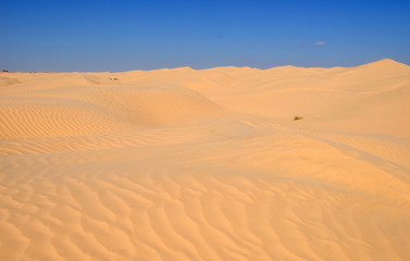 Fototapeta na wymiar sahara occidental 16