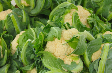 Fresh cauliflower