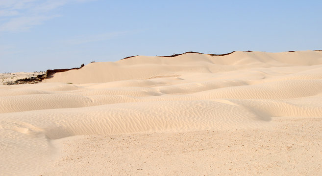sahara occidental 13 crête