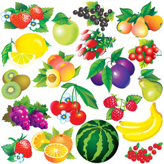 Juicy fruits. Healthy food.