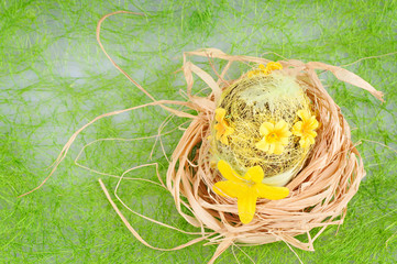 The nest