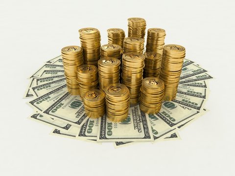 The money (paper, coins)