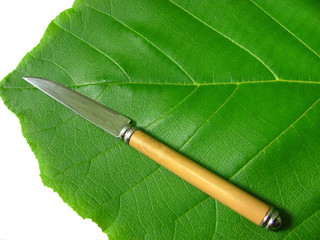 green leaf with knife