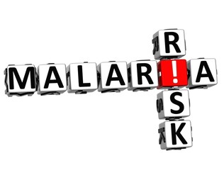 3D Malaria Risk Crossword text