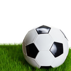 Fototapeta na wymiar Soccer ball on grass over white background