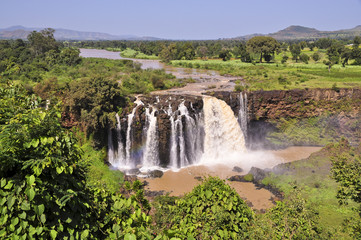 Blue Nile falls in Ethiopia - obrazy, fototapety, plakaty