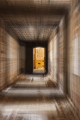 Fototapeta premium zoom