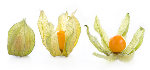 Physalis fruit