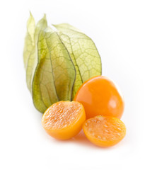 Physalis fruit