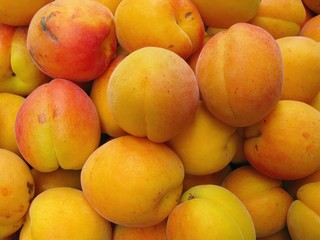 Fresh Nectarines at the greengrocer