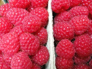 Fresh raspberries in boxes at the greengrocer