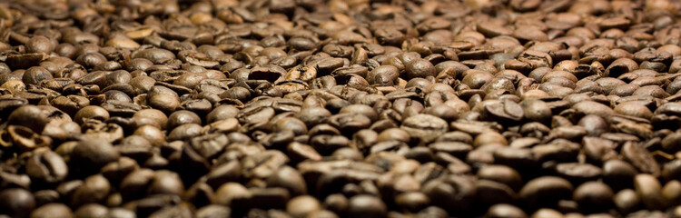 Coffee in grains close up