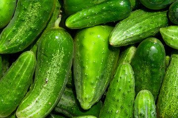 cucumbers