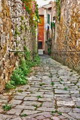 Fototapeta na wymiar stara aleja w Toskanii