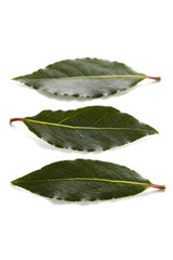 bay leaves