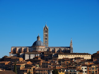 Fototapeta na wymiar Katedra w Siena, Włochy