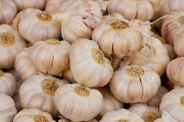 many garlics from near