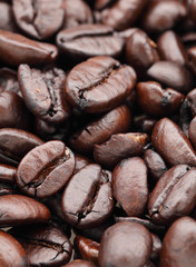 coffee beans closeup