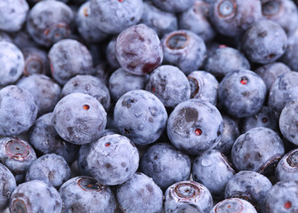 blueberry