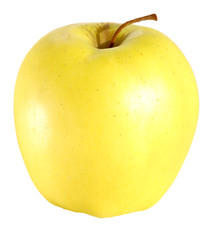 Ripe yellow apple