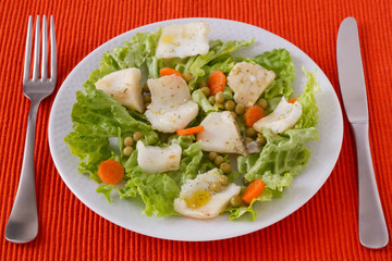 fish salad in the white plate