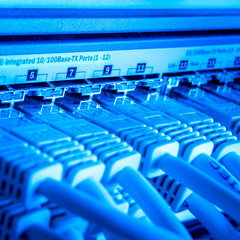 Fototapeta premium network cables
