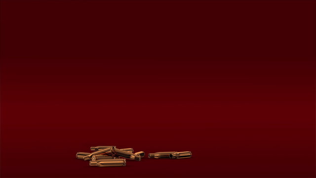 bullet