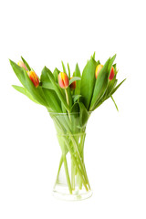 Bouquet of Dutch tulips