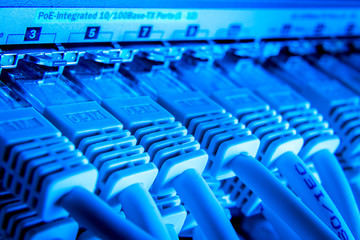 Naklejka premium network cables